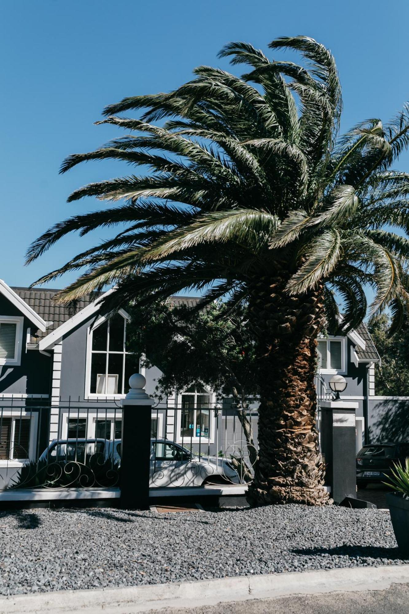 Bloemenzee Boutique B&B Gordonʼs Bay Exterior foto
